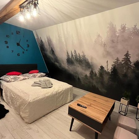 Pokoje Goscinne U Babci Zakopane Kültér fotó