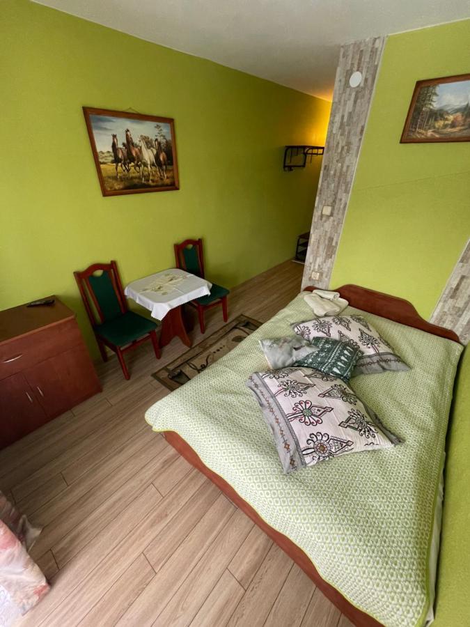 Pokoje Goscinne U Babci Zakopane Kültér fotó